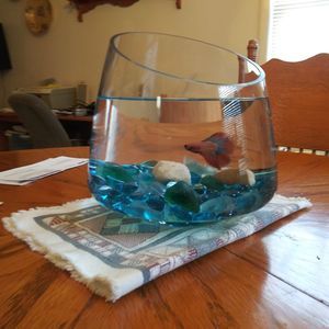 Meet your Posher, Gail